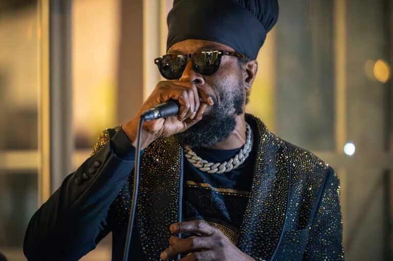 Voix reggae au micro — concerts live à La Baleine